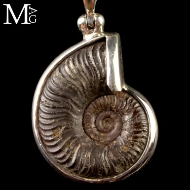 Gioiello Ammonite Fossile - 185 milioni di anni fa