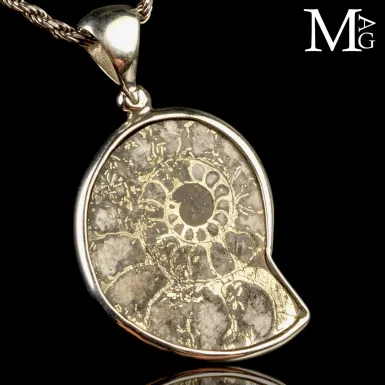 Gioielli del Giurassico – Ammonite Fossile, Pirite...