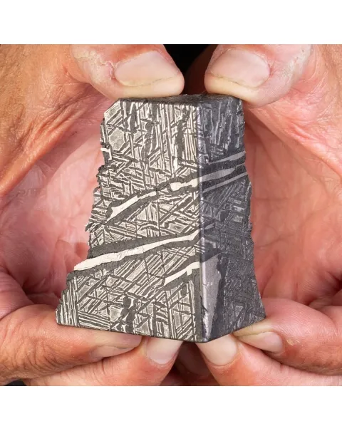 Aletai Meteorite Campione