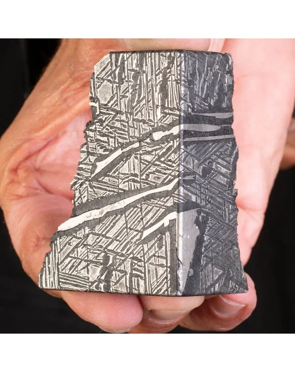 Aletai Meteorite Campione