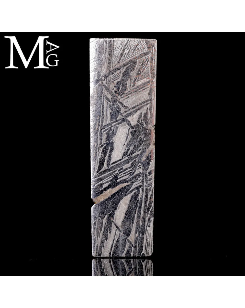 Meteorite Aletai – Sezione lucidata con trame Widmanstätten.