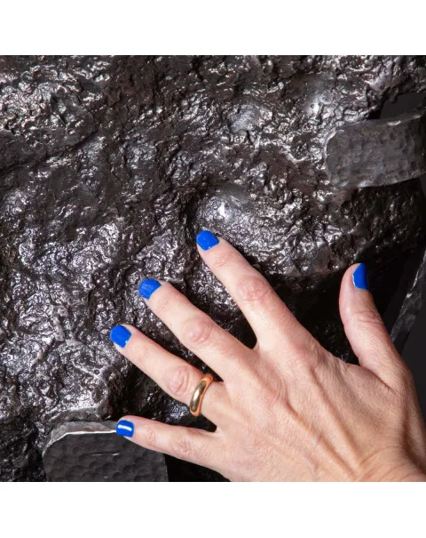 L'Epopea di un Meteorite Campo del Cielo - Viaggio Cosmico
