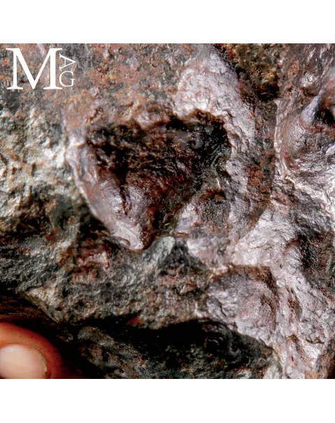 Meteorite Campo del Cielo – Frammento di Stelle Cadute