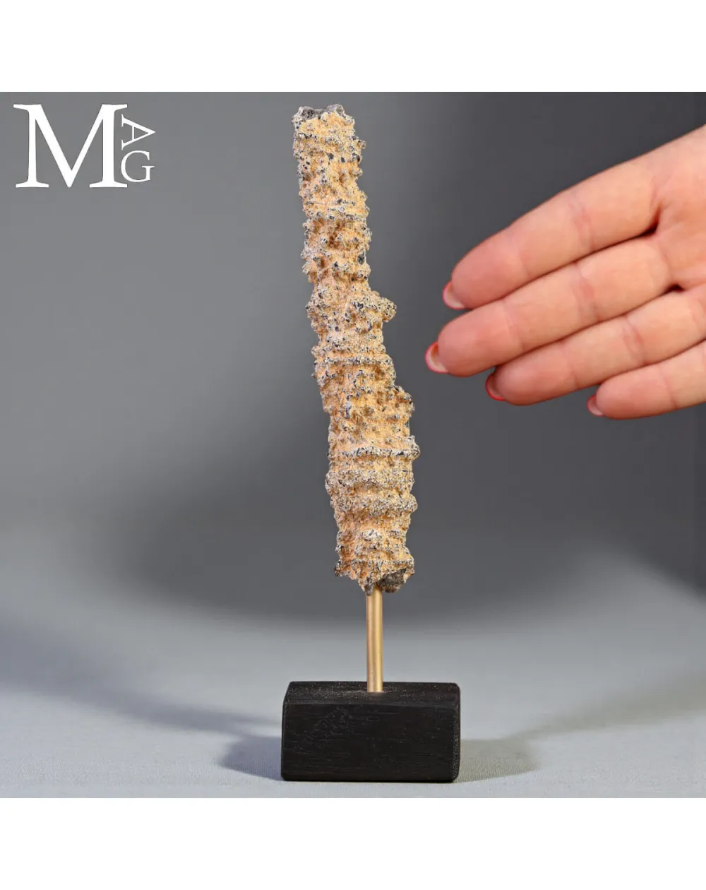 Fulgurite – Il vetro del fulmine.