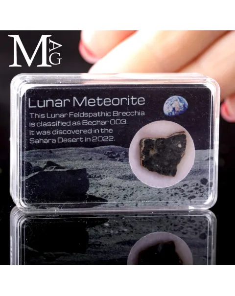 Meteorite Lunare Bechar 003 – Una roccia autentica dalla superficie della Luna