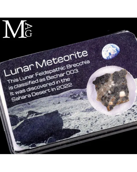 Meteorite Lunare Bechar 003 – Frammento autentico di Luna.