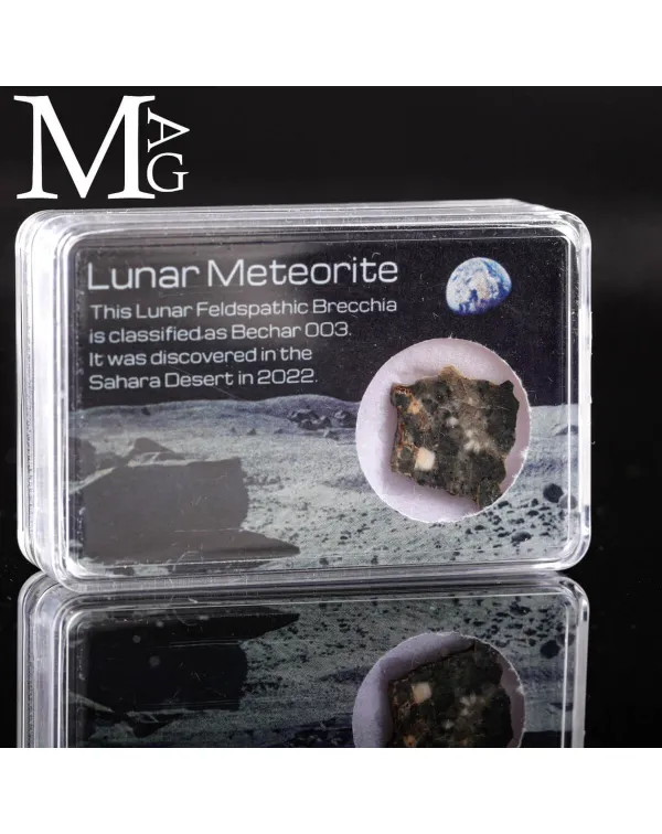Meteorite Lunare Bechar 003 – Frammento autentic...