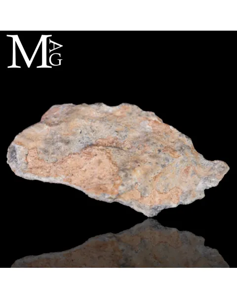 Meteorite Lunare Bechar 003 - Frammento della Luna