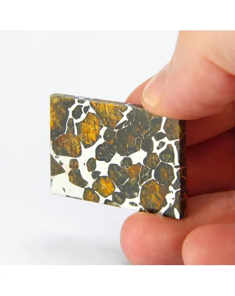Pallasite Seymchan