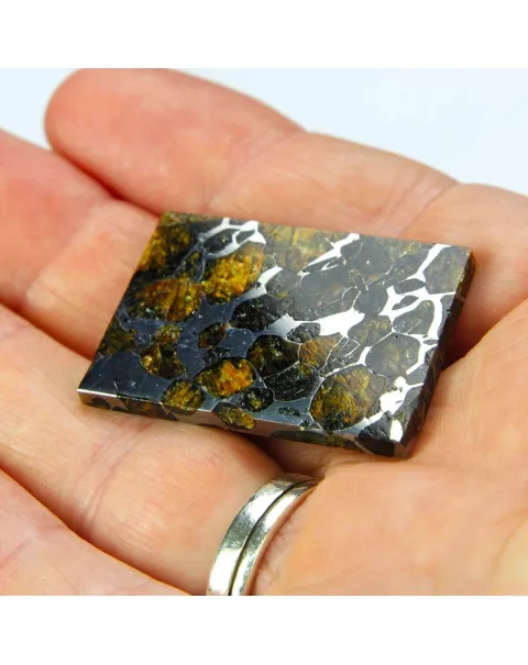 Pallasite Seymchan