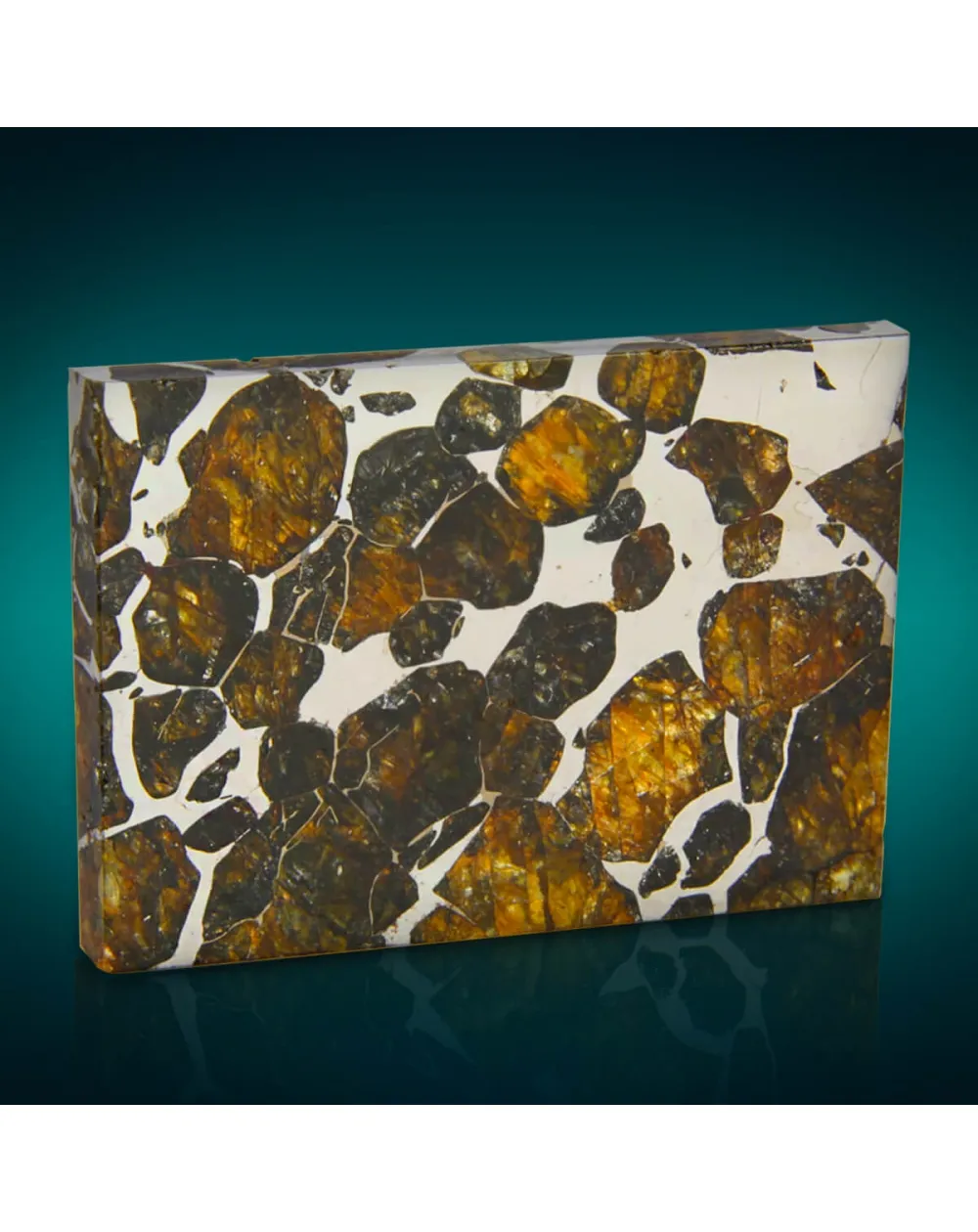 Pallasite Seymchan