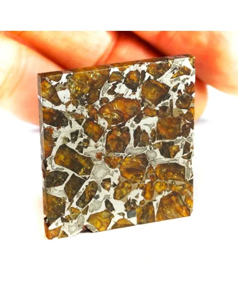 Pallasite Brahin