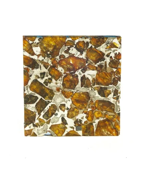 Pallasite Brahin