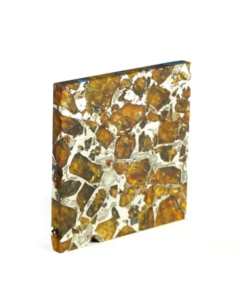Pallasite Brahin