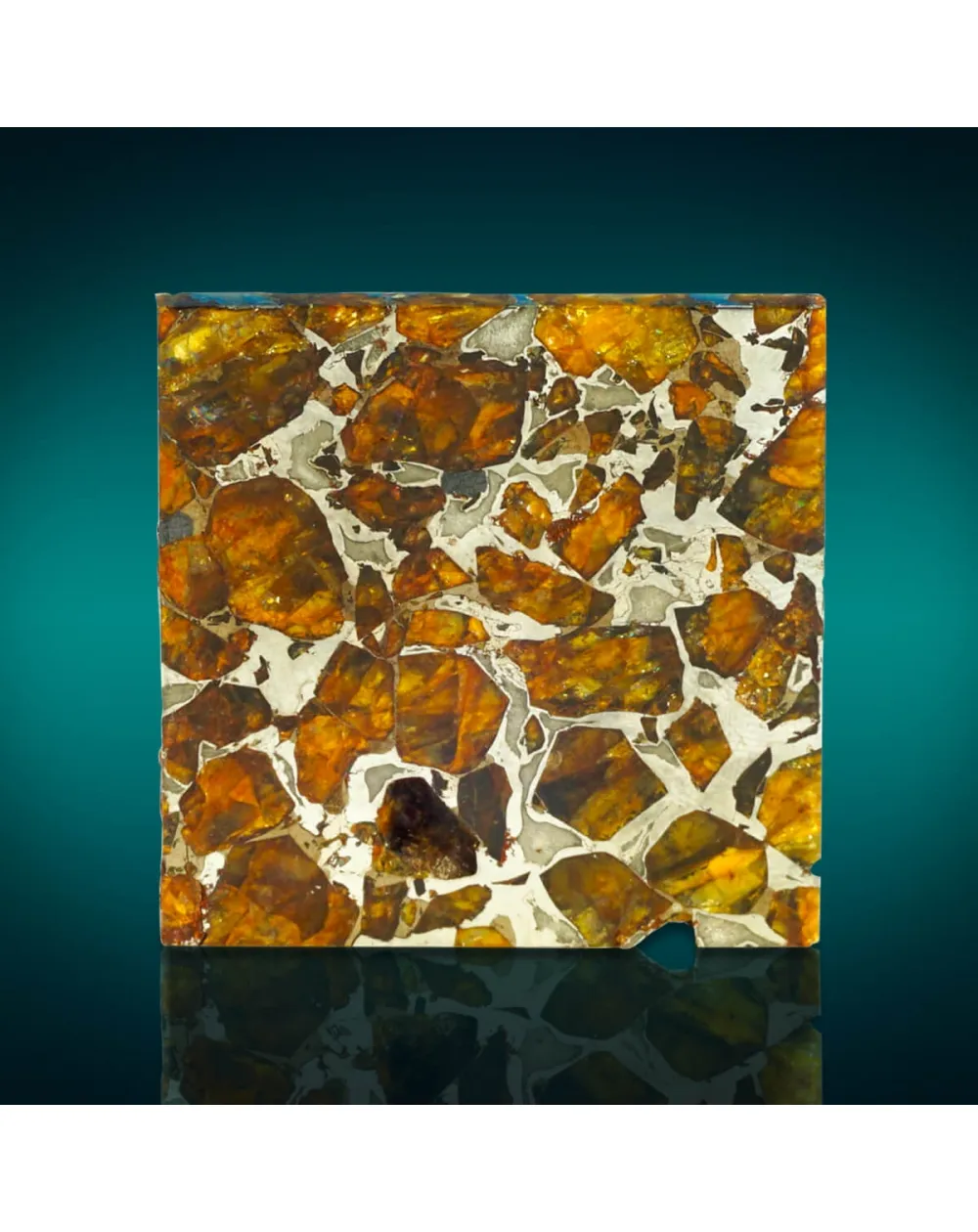 Pallasite Brahin
