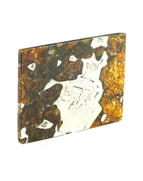 Pallasite Seymchan