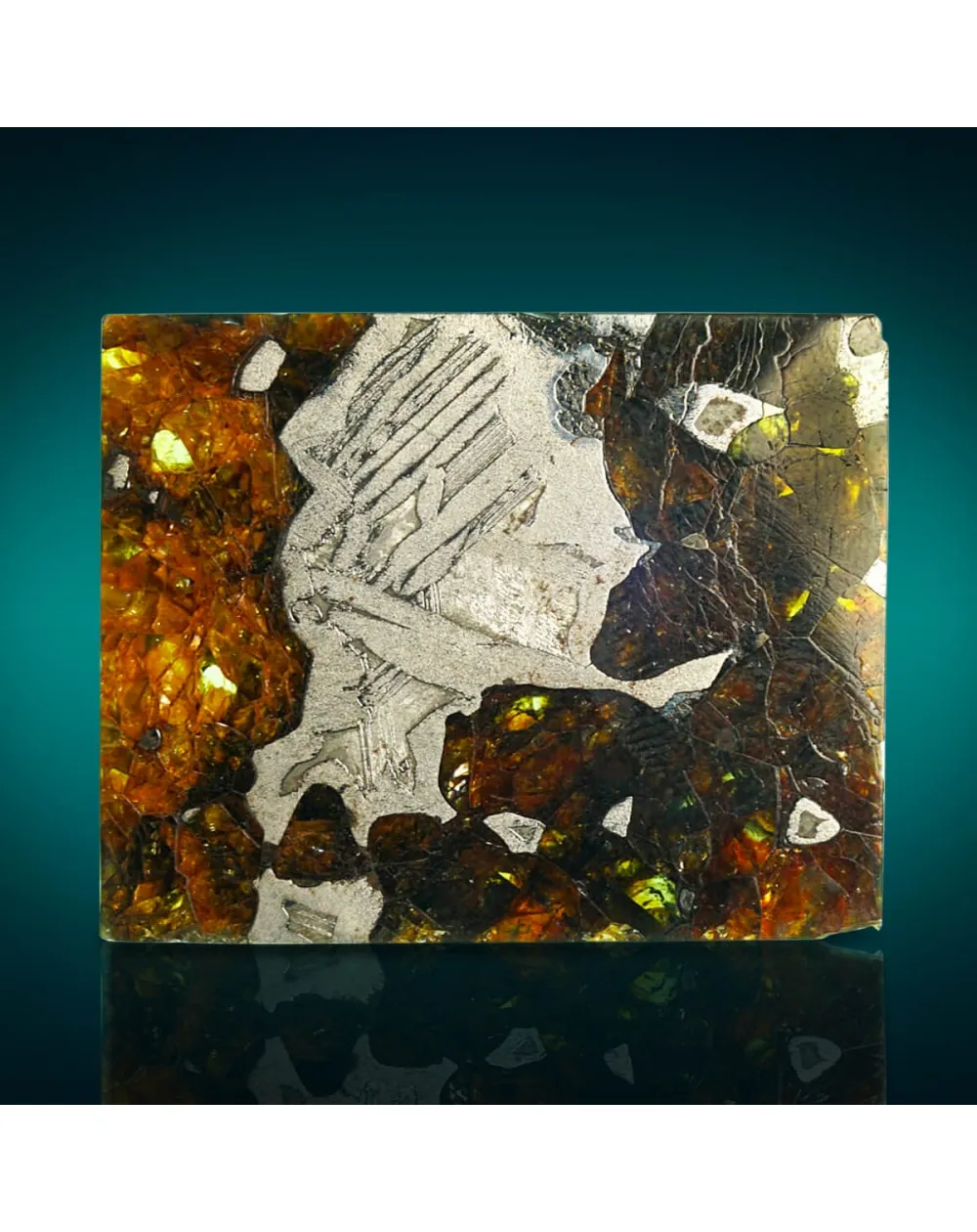 Pallasite Seymchan