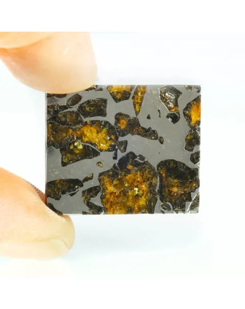 Pallasite Seymchan