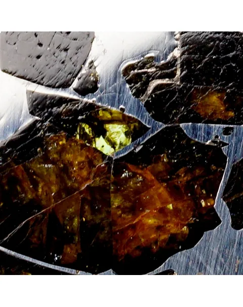 Pallasite Seymchan