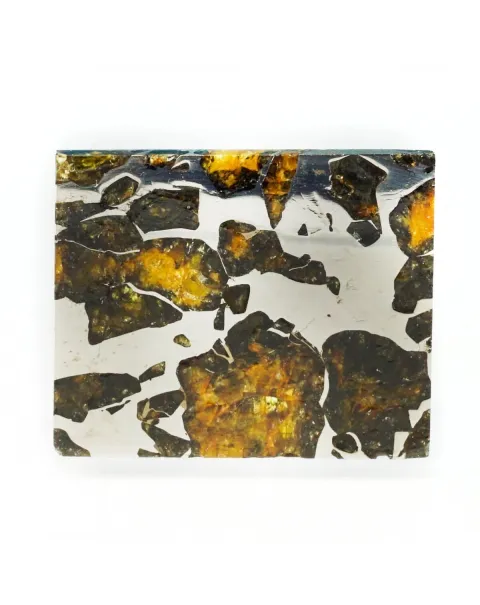 Pallasite Seymchan