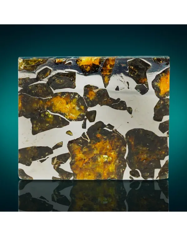 Pallasite Seymchan