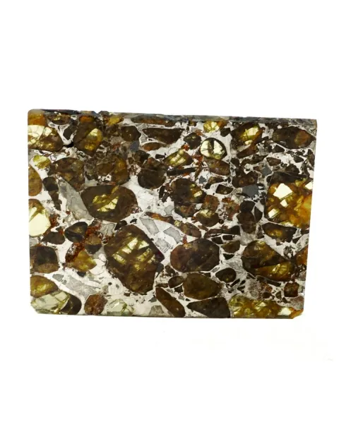 Pallasite Brahin