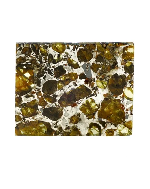 Pallasite Brahin