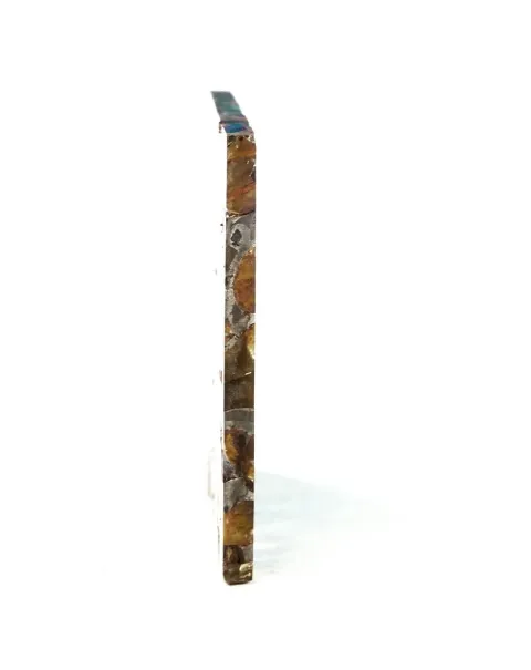 Pallasite Brahin