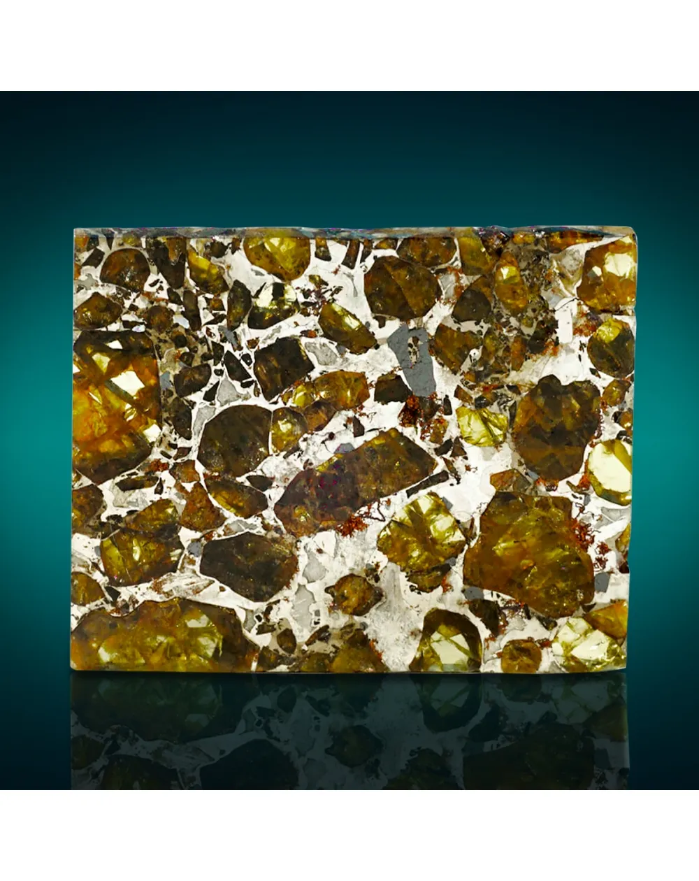 Pallasite Brahin