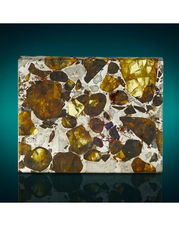 Pallasite Brahin