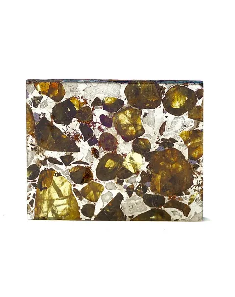 Pallasite Brahin