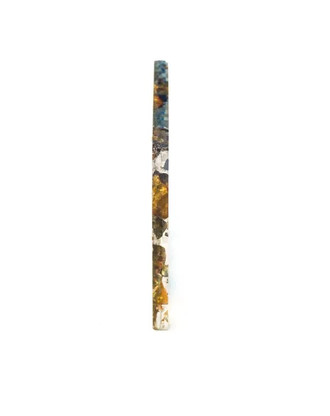 Pallasite Brahin
