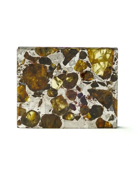 Pallasite Brahin