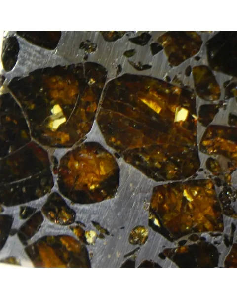 Pallasite Seymchan