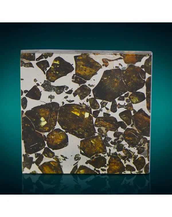 Pallasite Seymchan