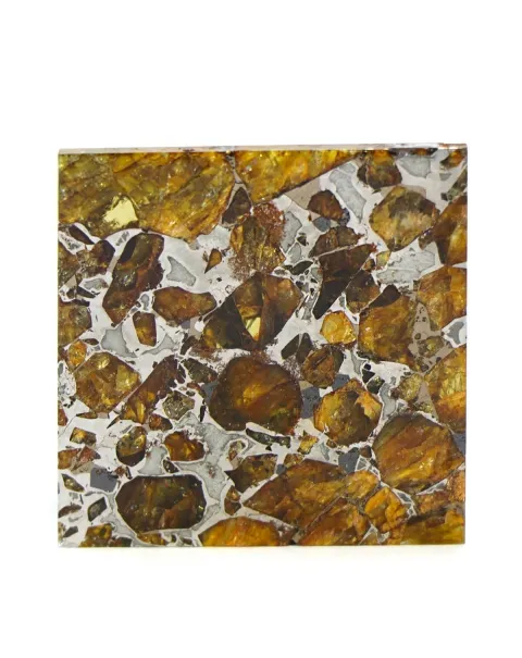 Pallasite Brahin