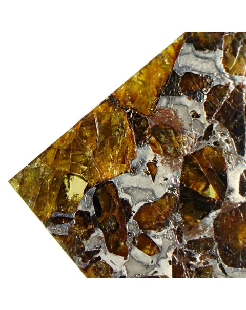 Pallasite Brahin