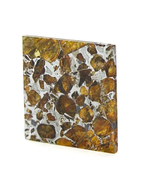 Pallasite Brahin