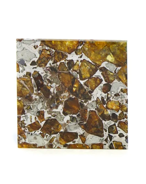 Pallasite Brahin