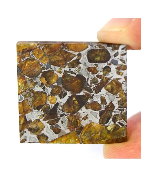 Pallasite Brahin