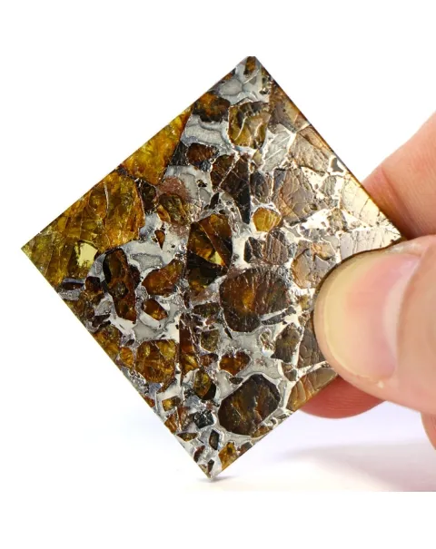 Pallasite Brahin