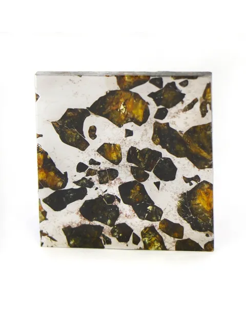Pallasite Seymchan