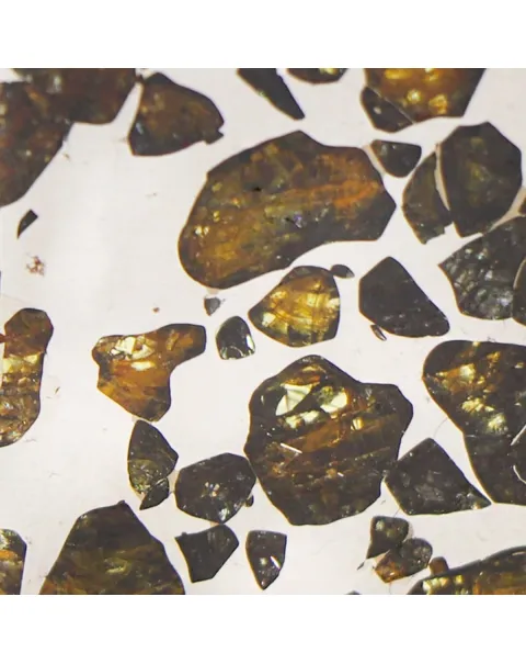 Pallasite Seymchan