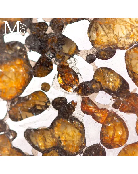 Pendente in Argento con Sezione di Meteorite Pallassite