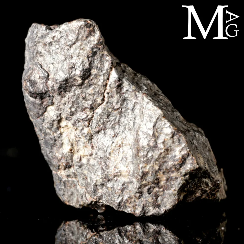 Meteorite NWA 869 - Condrite Ordinaria L3-6 del Nord-Ovest Africa