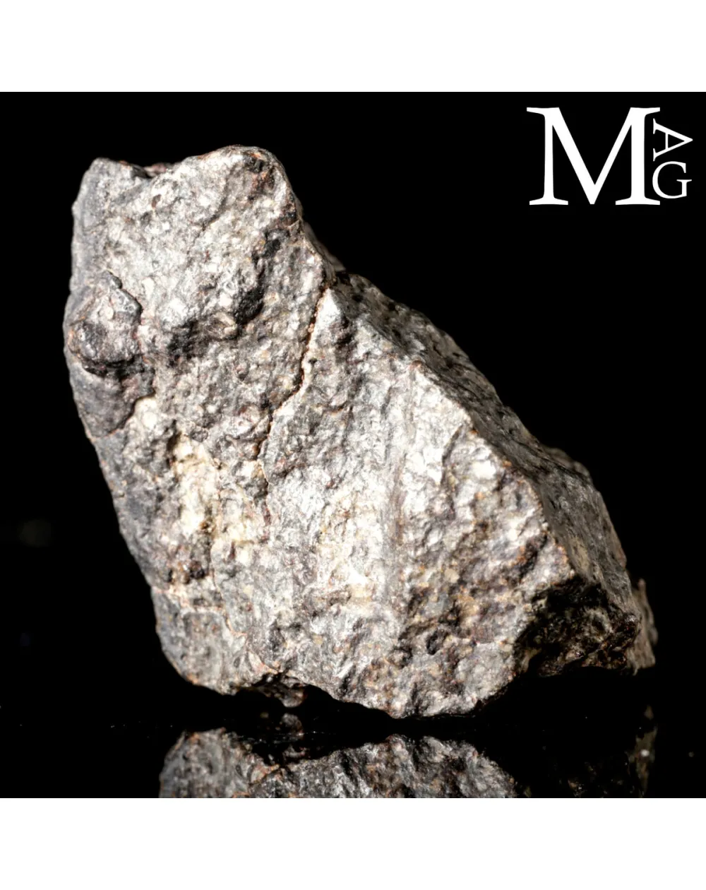 Meteorite NWA 869 - Condrite Ordinaria L3-6 del Nord-Ovest Africa