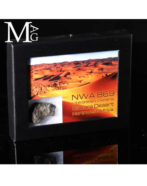 Meteorite NWA 869 - Condrite Ordinaria L3-6 del Nord-Ovest Africa