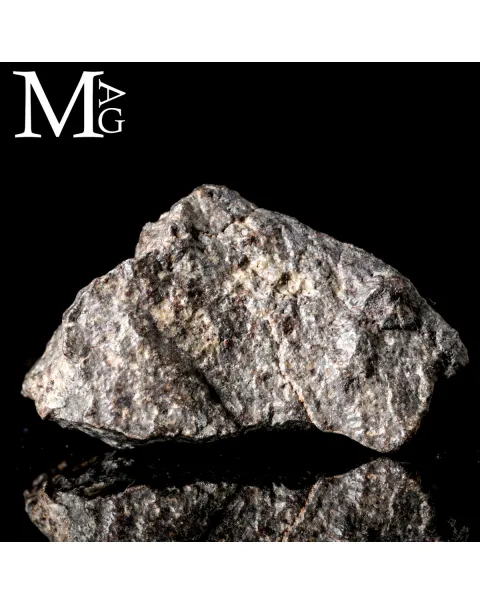 Meteorite NWA 869 - Condrite Ordinaria L3-6 del Nord-Ovest Africa