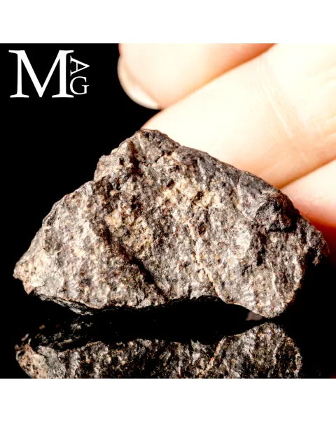 Meteorite NWA 869 - Condrite Ordinaria L3-6 del Nord-Ovest Africa