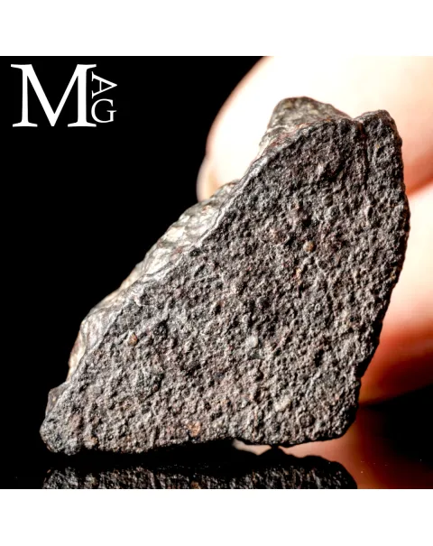 Meteorite NWA 869 - Condrite Ordinaria L3-6 del Nord-Ovest Africa